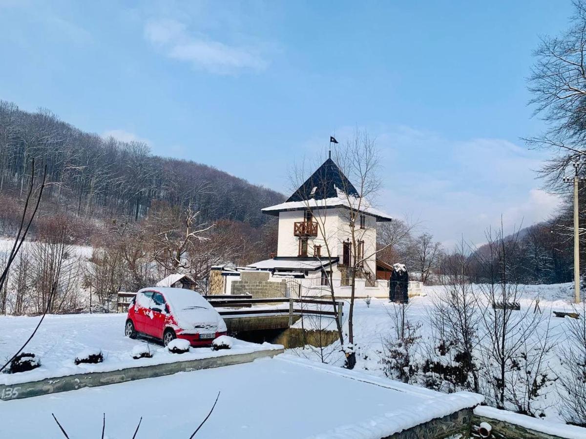 Chalet Vedmezhe Polyana  Zewnętrze zdjęcie
