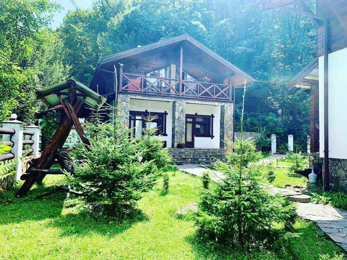 Chalet Vedmezhe Polyana  Zewnętrze zdjęcie