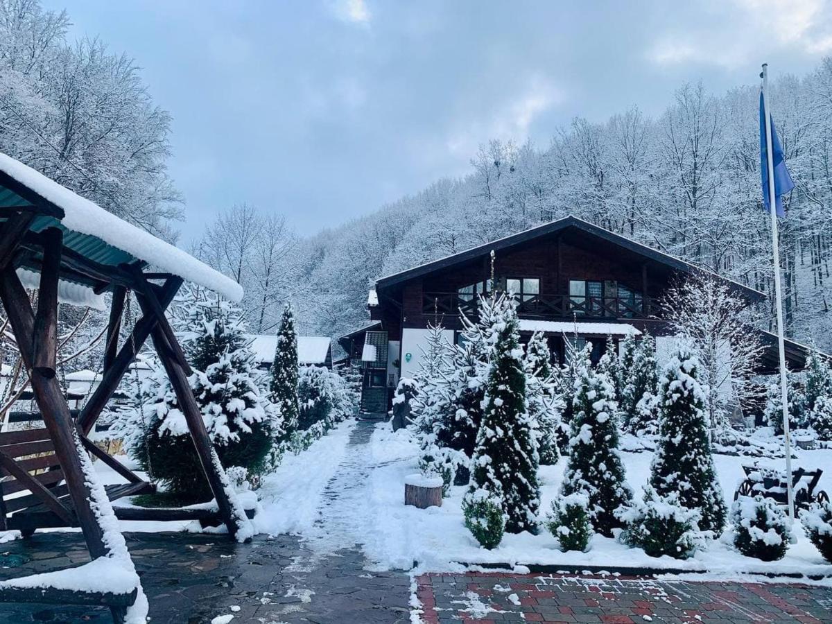 Chalet Vedmezhe Polyana  Zewnętrze zdjęcie