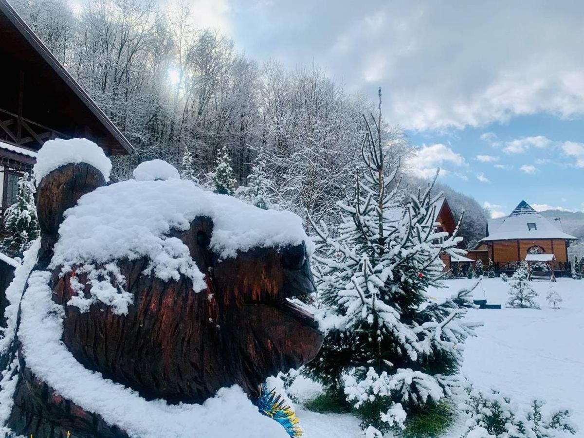 Chalet Vedmezhe Polyana  Zewnętrze zdjęcie