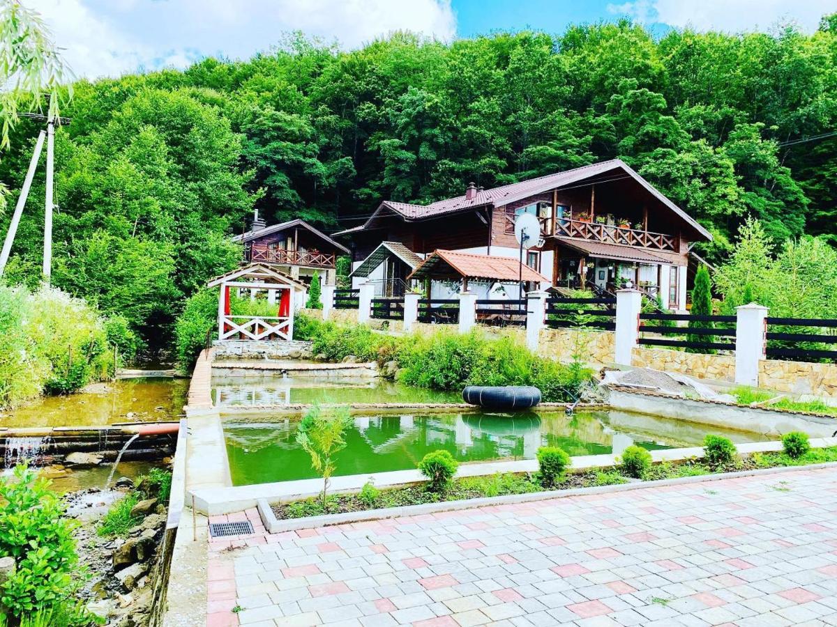 Chalet Vedmezhe Polyana  Zewnętrze zdjęcie