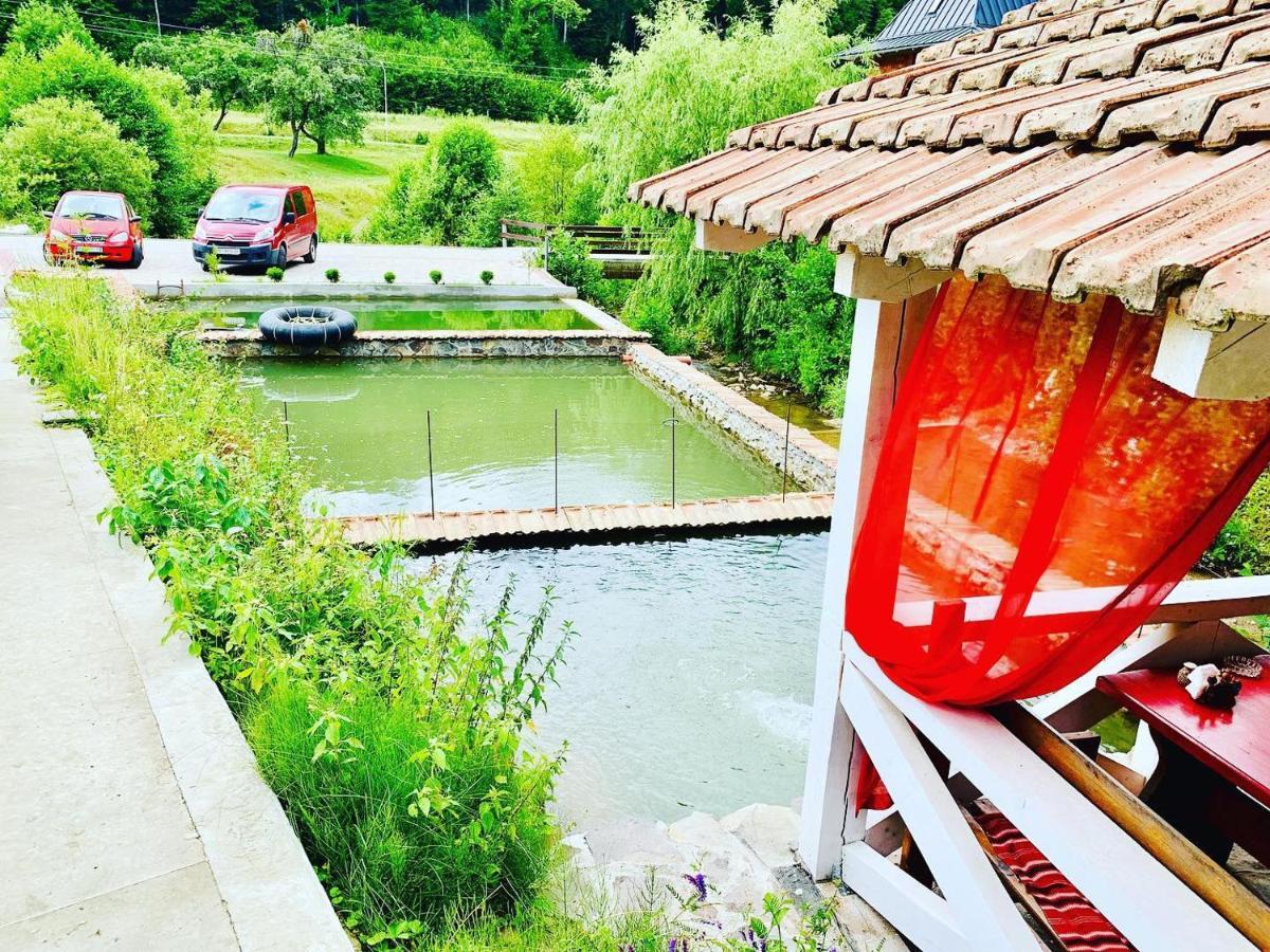 Chalet Vedmezhe Polyana  Zewnętrze zdjęcie