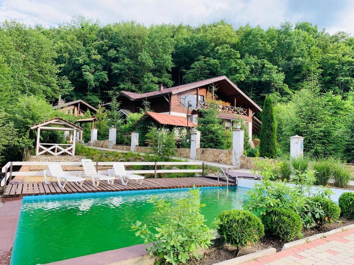 Chalet Vedmezhe Polyana  Zewnętrze zdjęcie