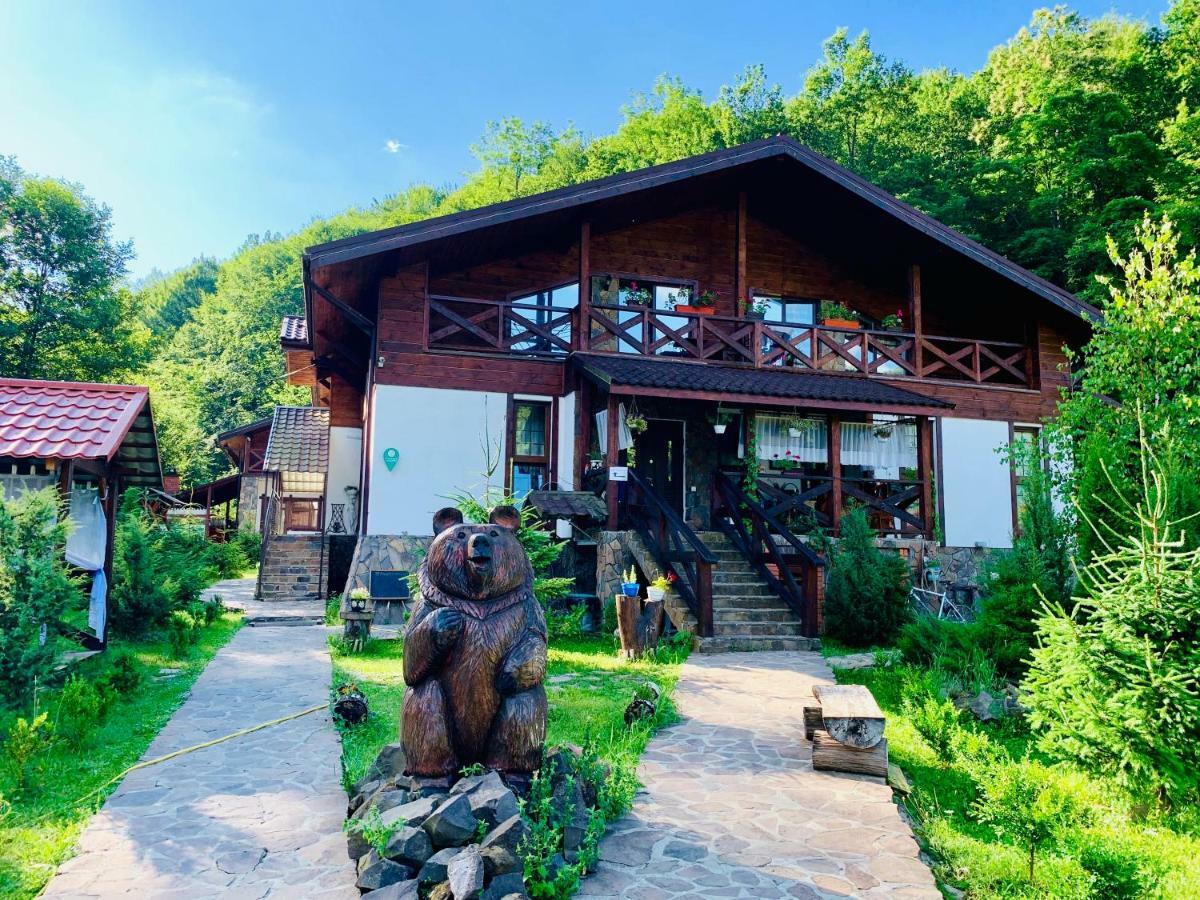 Chalet Vedmezhe Polyana  Zewnętrze zdjęcie